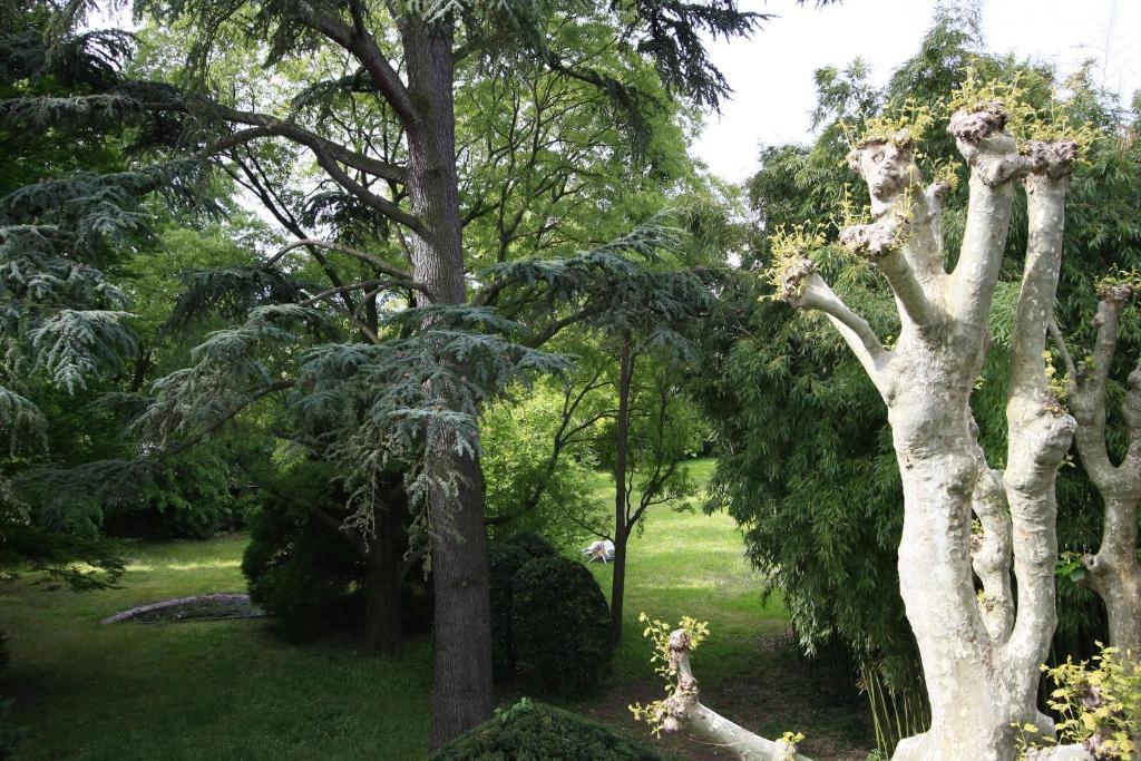 L'Oree Du Chateau روسّييو المظهر الخارجي الصورة